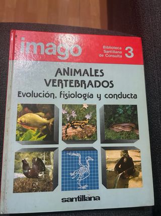 Libros Biblioteca Santillana de Consulta