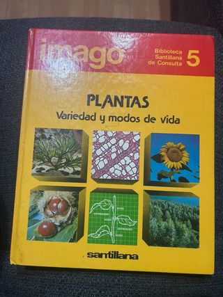 Libros Biblioteca Santillana de Consulta