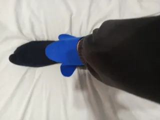 Disfraz Alas Guacamayo Talla Única