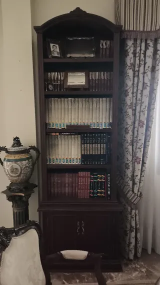 Librería de madera oscura