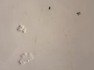 Fuente antigua San Juan de Aznalfarache