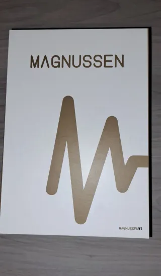 Auriculares Bluetooth Magnussen W1 Negros
