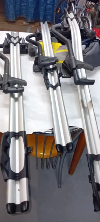 Portaesquís / Portaequipajes de un BMW driver