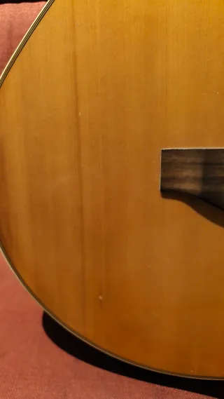 Bajo Acústico Harley Benton 5 Cuerdas