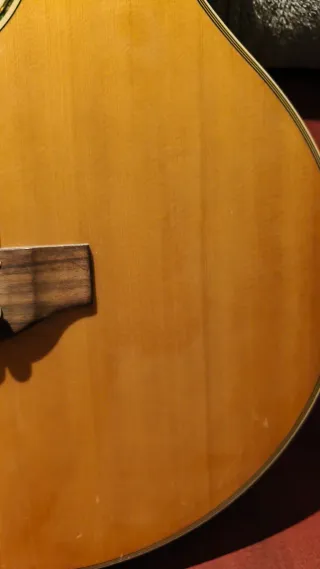 Bajo Acústico Harley Benton 5 Cuerdas