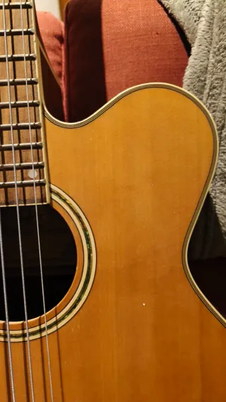 Bajo Acústico Harley Benton 5 Cuerdas