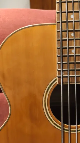 Bajo Acústico Harley Benton 5 Cuerdas