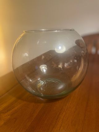 Pecera esférica de cristal 20 cm