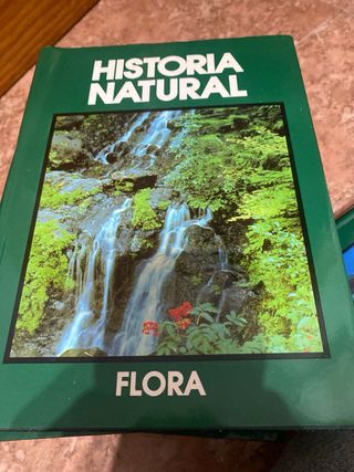 Historia Natural. Flora. La vida de las plantas.