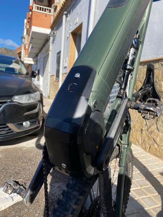 Protector specialized 2025