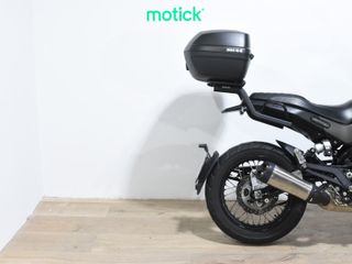 BENELLI LEONCINO 500