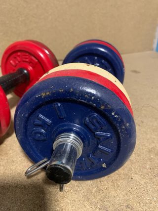 Juego Mancuernas Salter Ajustables