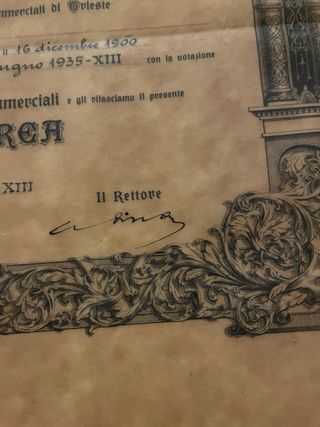 Università Trieste 1931/35 Tessera e Laurea