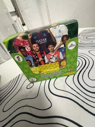 300 cromos de la Liga Francesa Panini