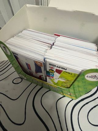 300 cromos de la Liga Francesa Panini