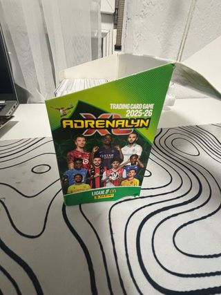 300 cromos de la Liga Francesa Panini