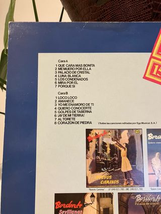 Vinilo Bordon 4 - 15 Exitos Bordados