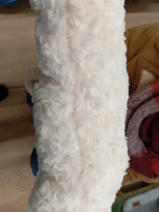 Zona descanso para perro beige/blanco