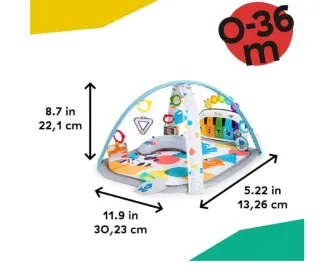 Baby Einstein, Gimansio de Actividades Musical