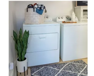 Baby Einstein, Gimansio de Actividades Musical