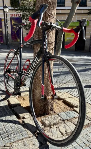 Bicicleta Carretera Specialized Talla 54