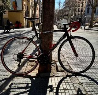 Bicicleta Carretera Specialized Talla 54