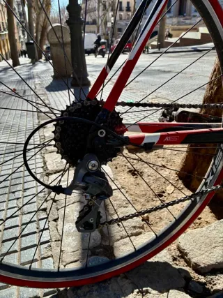 Bicicleta Carretera Specialized Talla 54