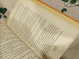 La Disparatada Huida De Los Cheeseman