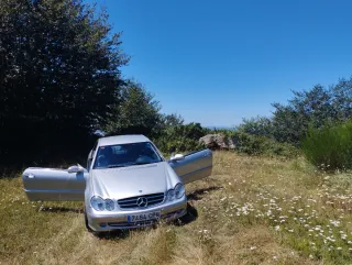 Despiece Mercedes CLK 270 CDI 2003