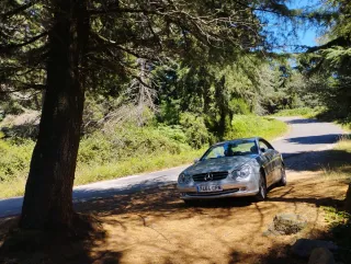 Despiece Mercedes CLK 270 CDI 2003