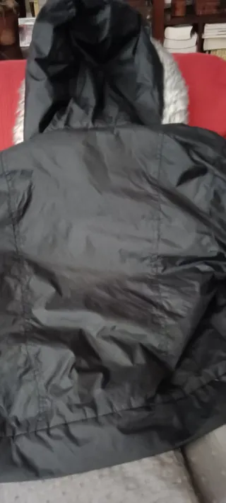 Cazadora juvenil Rottweiler negra Talla S