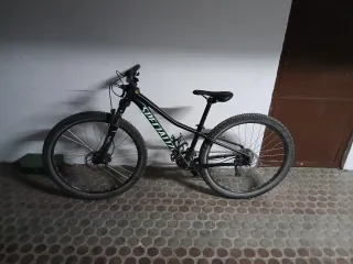 Bicicleta de montaña