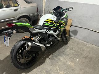 Kawasaki Ninja 300 sport