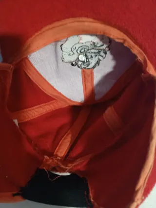 Gorra polar vintage Looney Tunes Taz