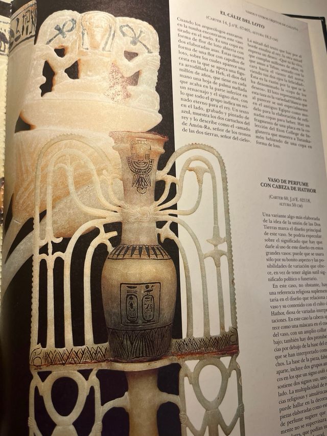 Biblioteca Egipto. Tutankamon (Spanish Edition)