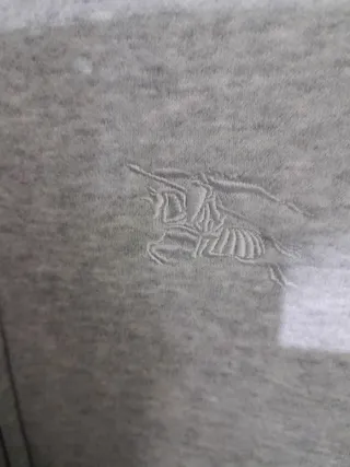 Felpa con cappuccio grigia