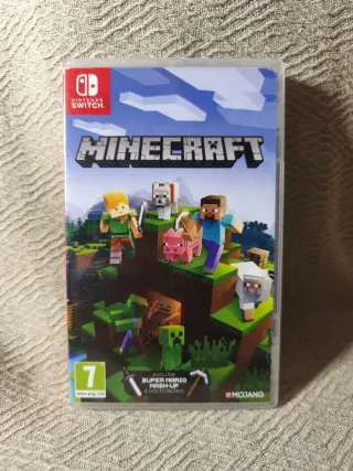 Minecraft Nintendo Switch