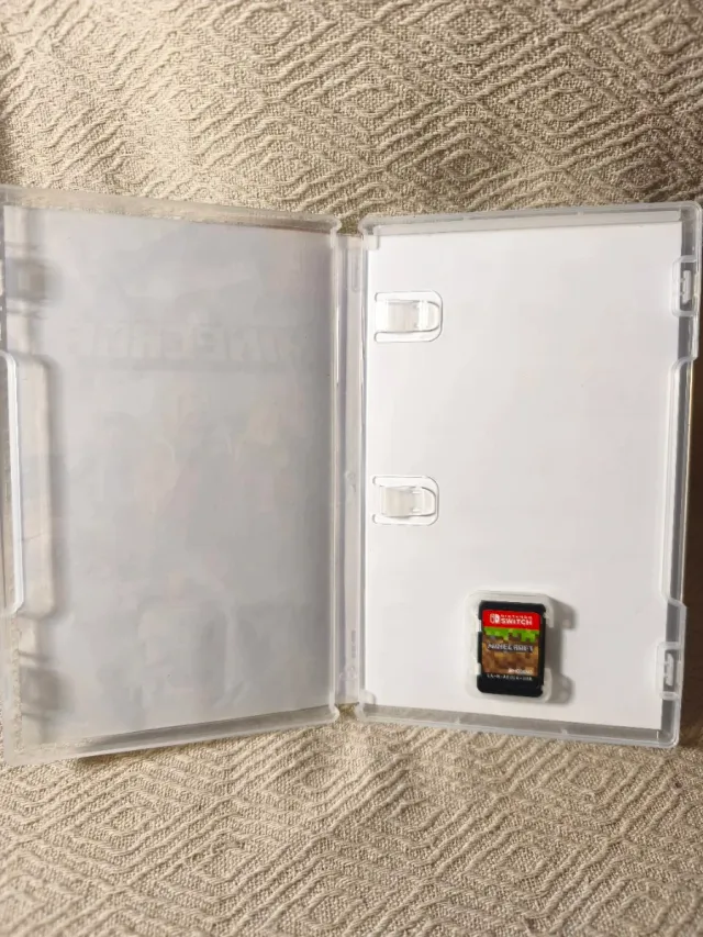 Minecraft Nintendo Switch