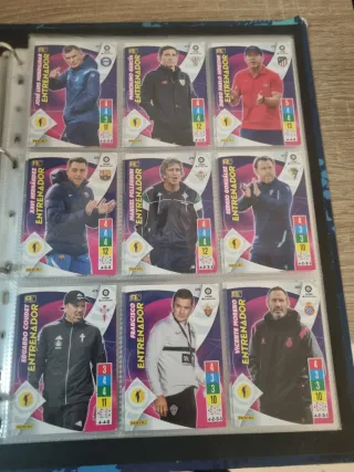 Archivador de diferentes cromos de futbol