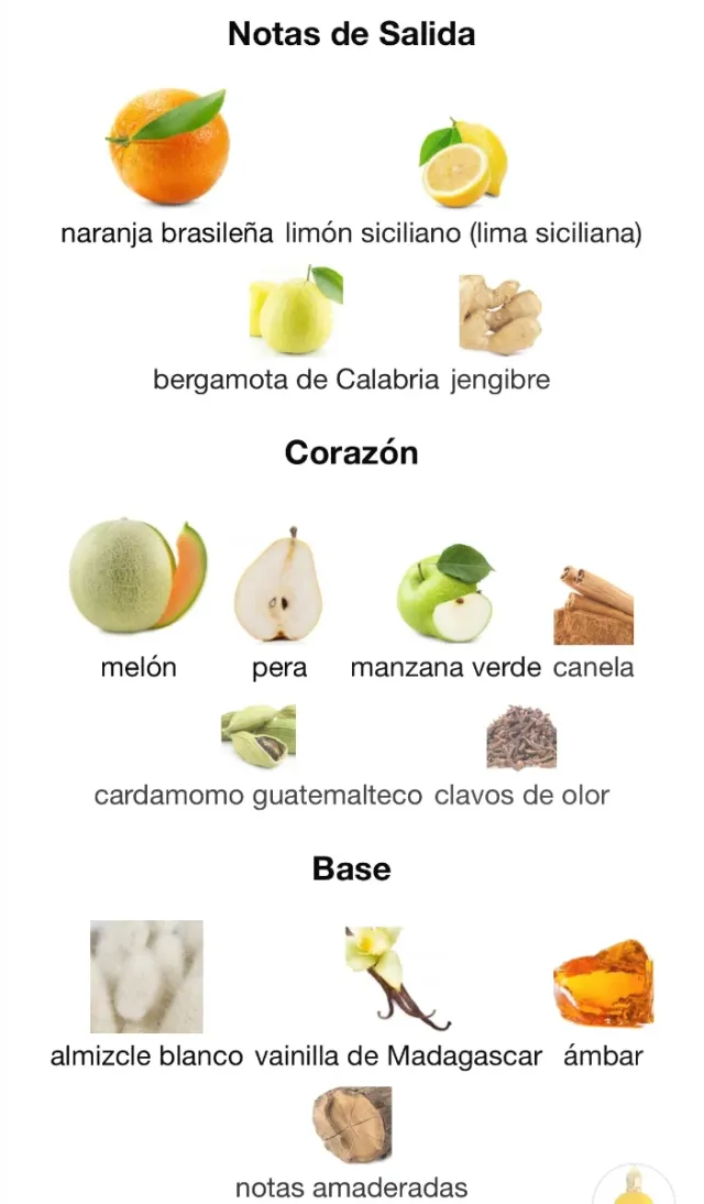 XERJOFF ERBA GOLD EDP 100ML