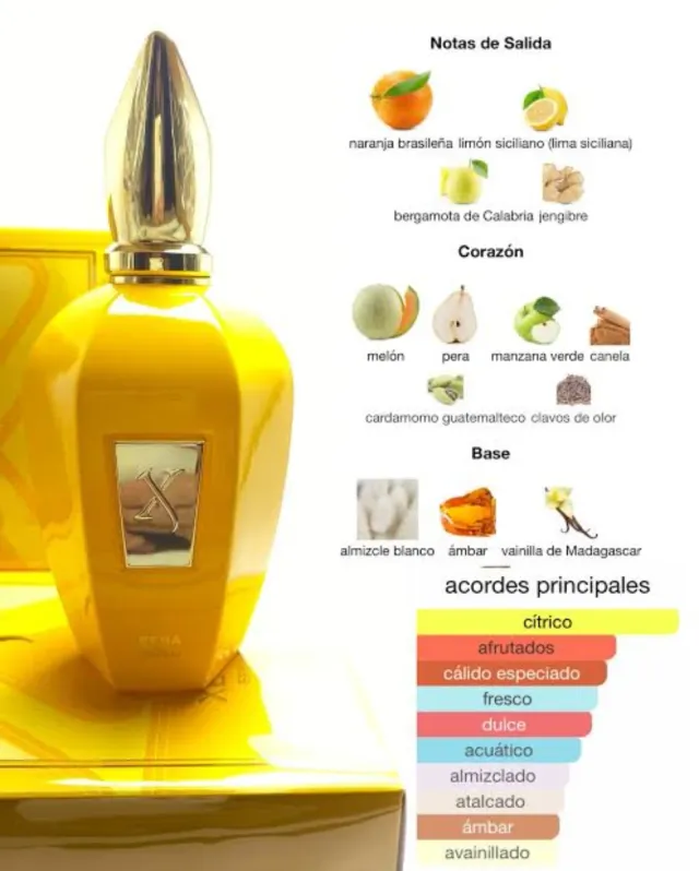 XERJOFF ERBA GOLD EDP 100ML