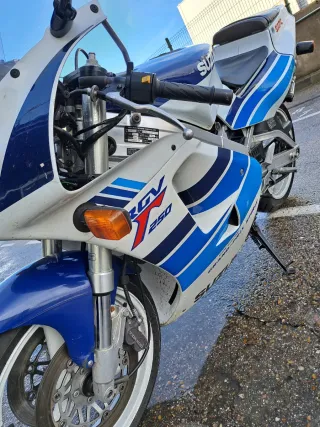 SUZUKI RGV250 VJ22