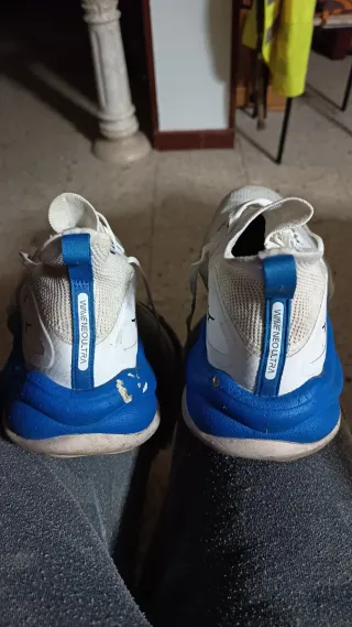 Zapatillas Mizuno Wave Neo Ultra Running