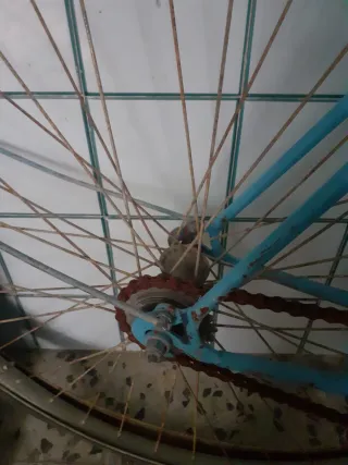 Bicicleta Clásica Azul