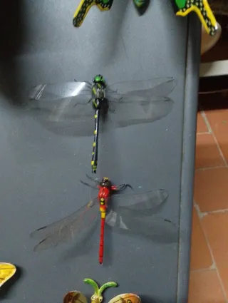 Lote de  20 figuras de insectos con imán