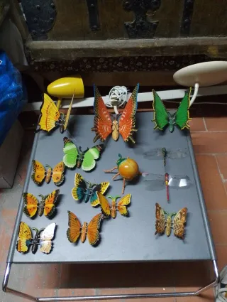 Lote de  20 figuras de insectos con imán