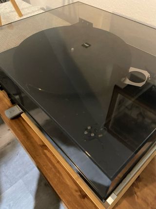 Plato rega planar 6 sin capsula