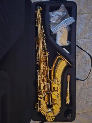 Saxofono + bocchino + ance