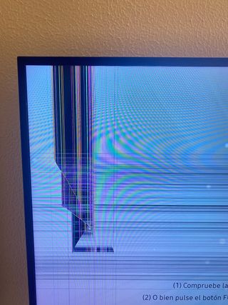 Samsung 49' TV  PANTALLA ROTA