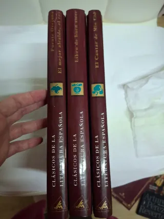 Lote de Libros Clásicos de la Literatura Española